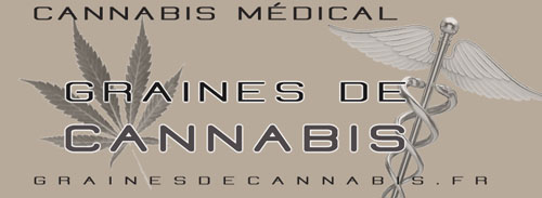 Graines pour faire pousser le cannabis médical