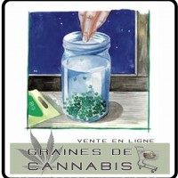 Un germoir pour germer les graines de cannabis