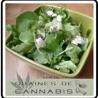 recette-graines-cannabis