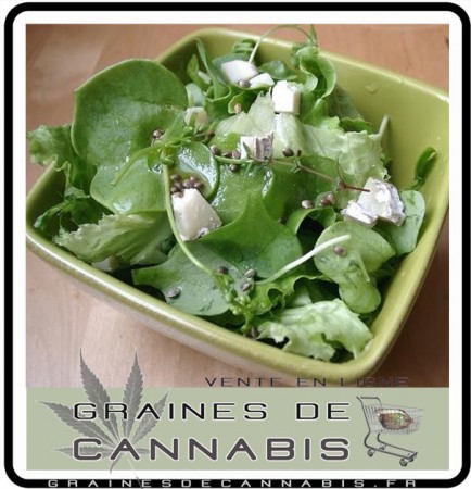 recette graines cannabis