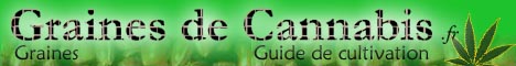 GrainesDeCannabis.fr - Graines de cannabis et graines de marijuana de haute qualit�