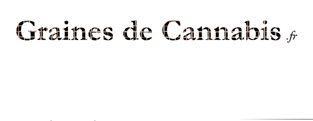 Graines de Cannabis Logo